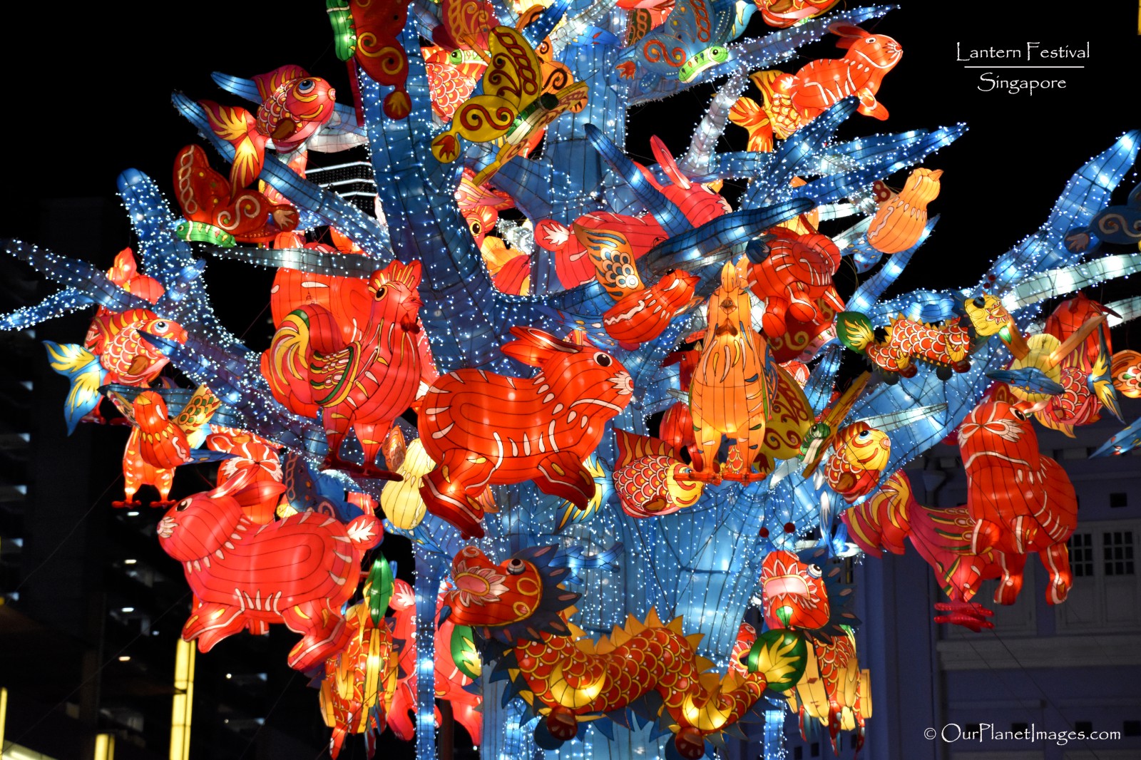Lantern Festival, Singapore