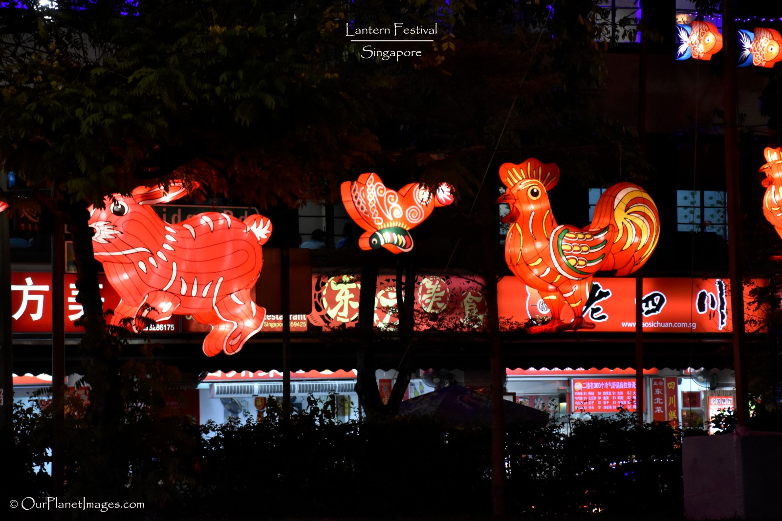 Lantern Festival, Singapore