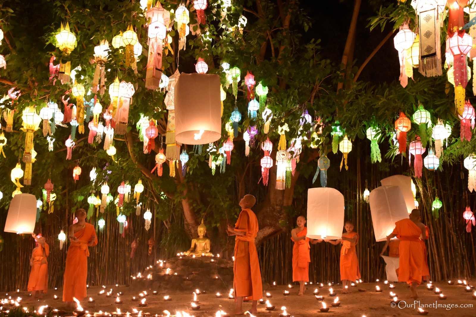 Lantern Festival Ceremony at Wat Phan Tao, Chiang Mai Thailand
