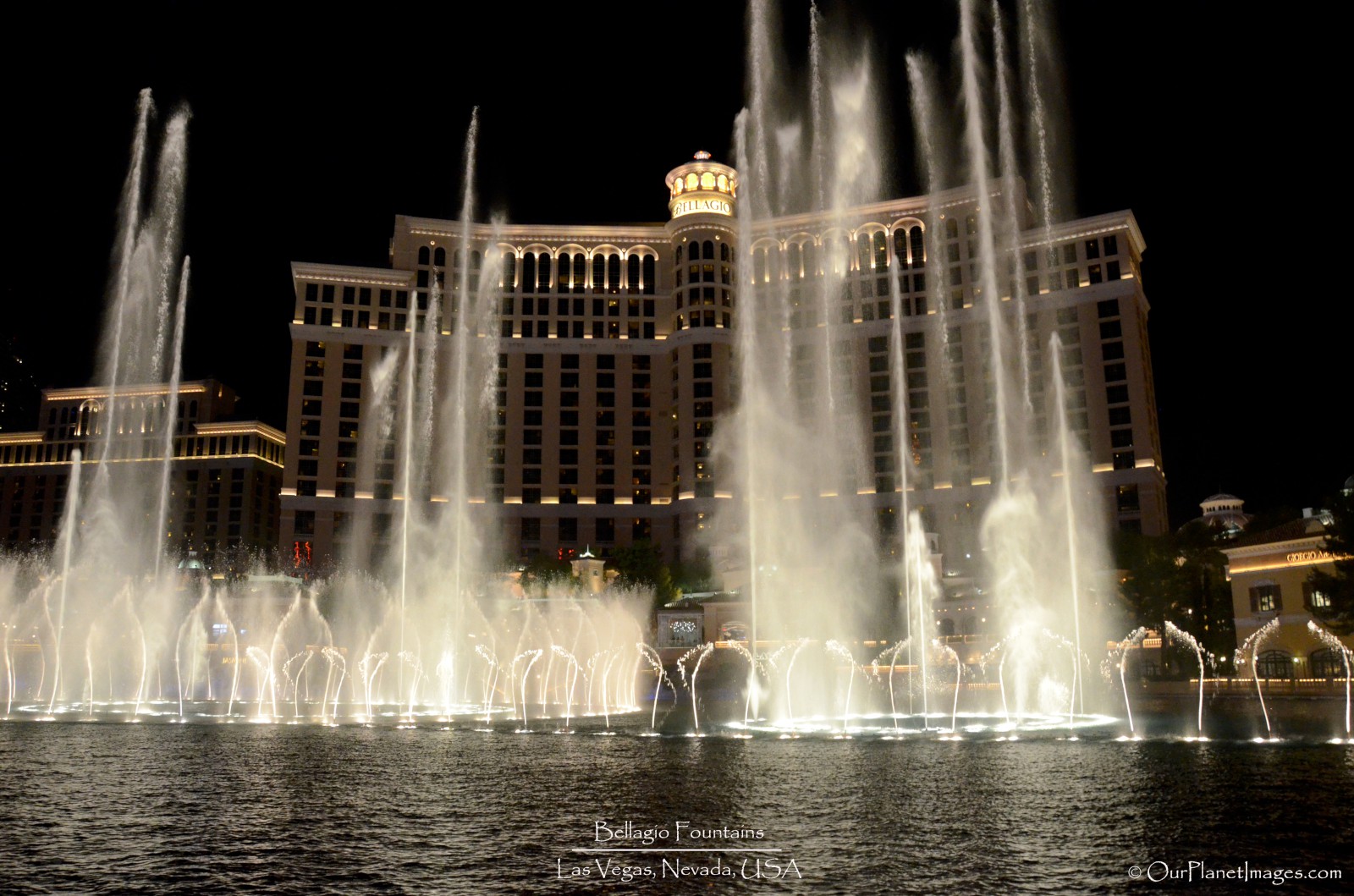 Bellagio Fountain Show Night