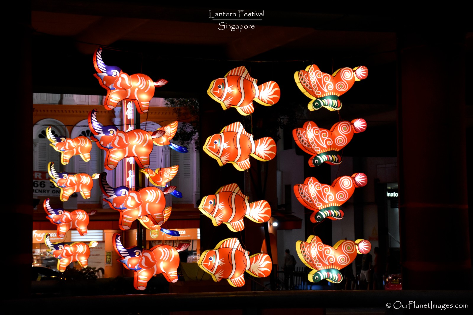 Lantern Festival, Singapore