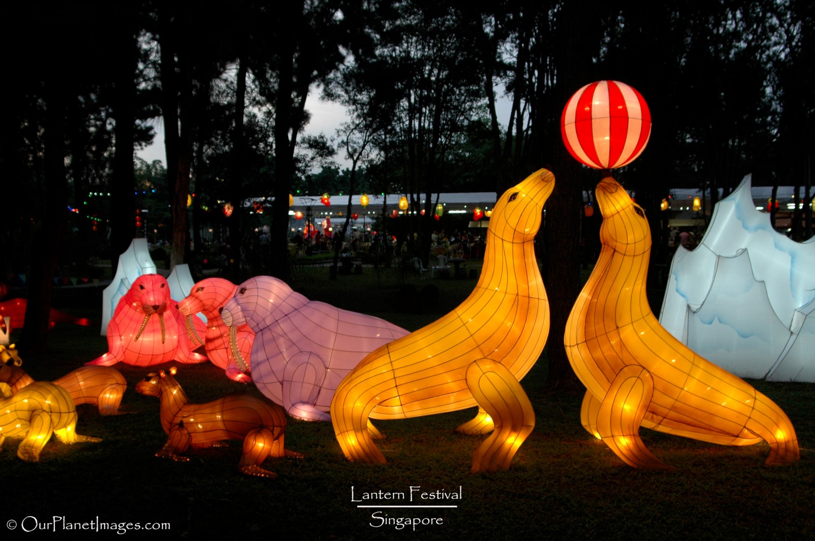 Jurong Chinese Garden Lantern Festival Fasci Garden