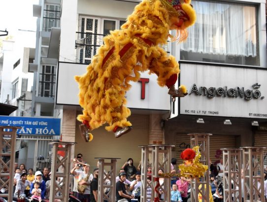 Lunar New Year (Part 2) Lion Dance - Vietnam