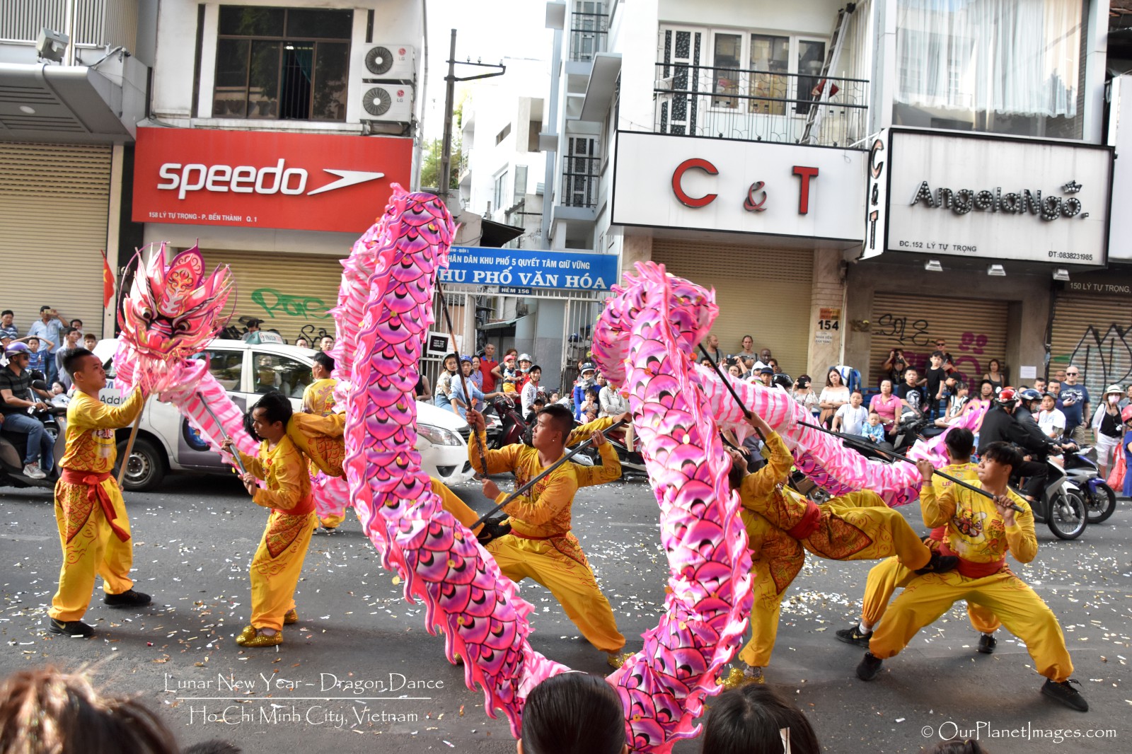 Lunar New Year (Part 3) Dragon Dance - Vietnam