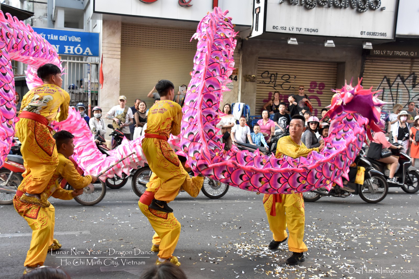 Lunar New Year Dragon Dance, Ho Chi Minh City Vietnam