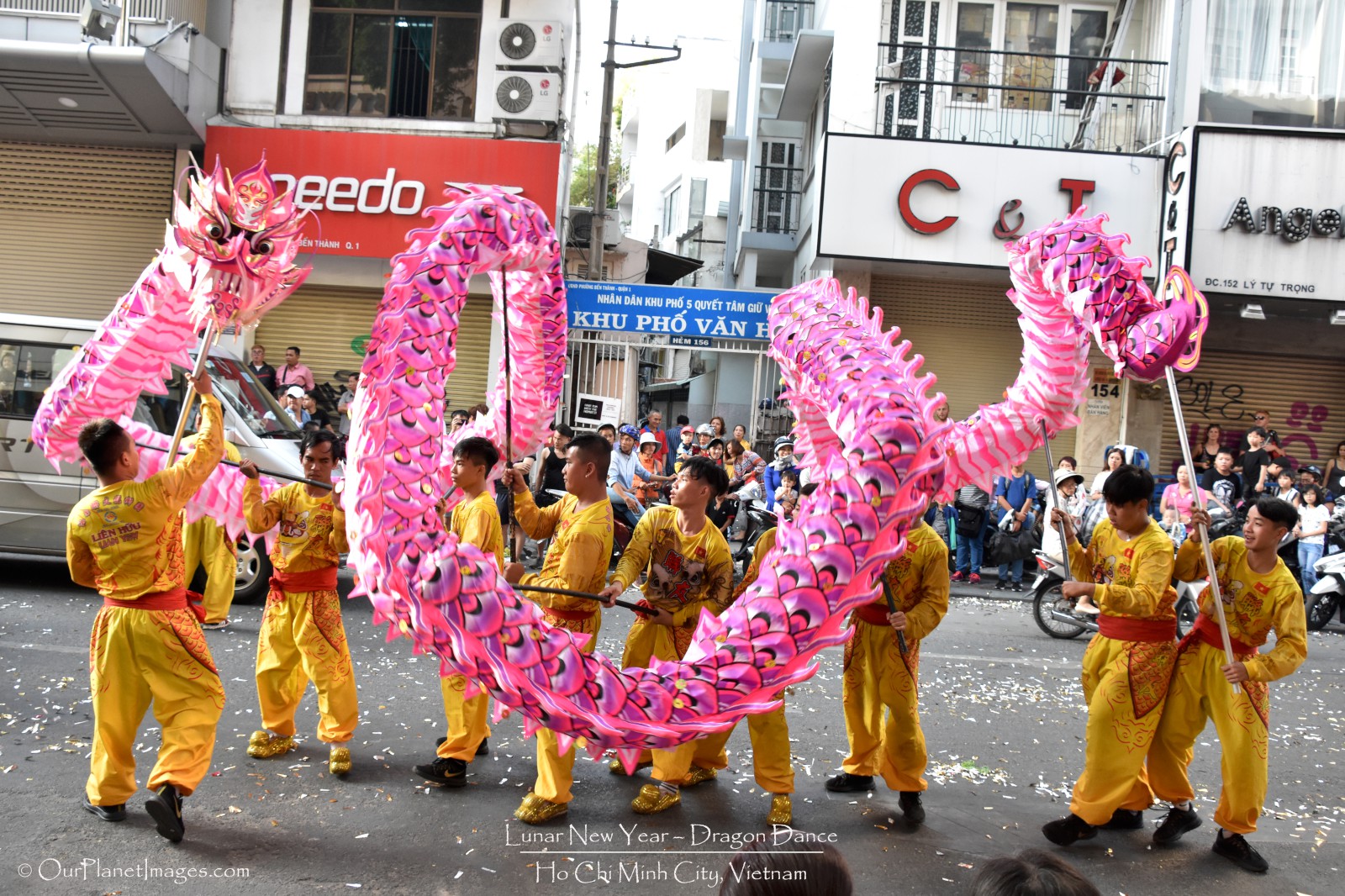 Lunar New Year Dragon Dance, Ho Chi Minh City Vietnam