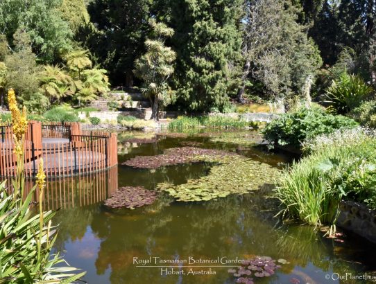 Royal Tasmanian Botanical Gardens - Australia