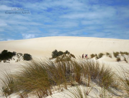 Little Sahara - Australia