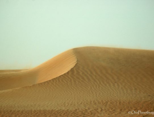 Arabian Desert - UAE