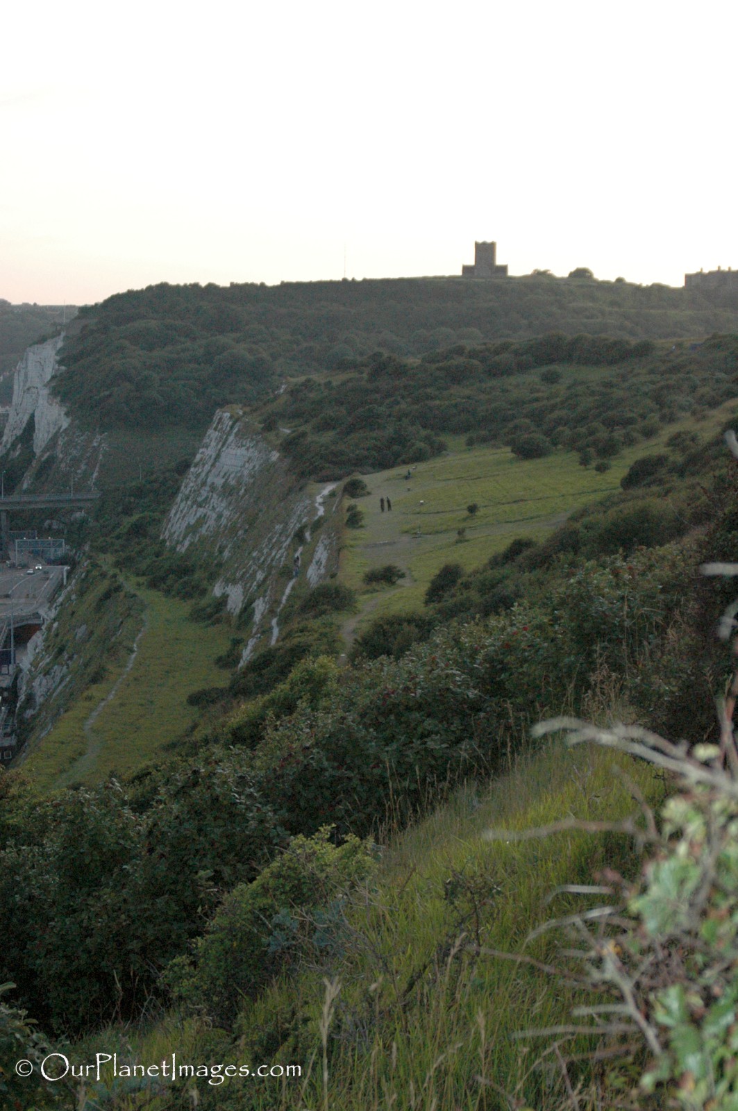 White Cliffs Of Dover Midi File