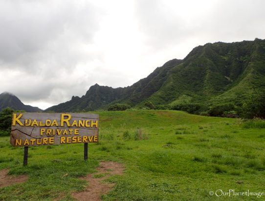 Kualoa Ranch - Hawaii