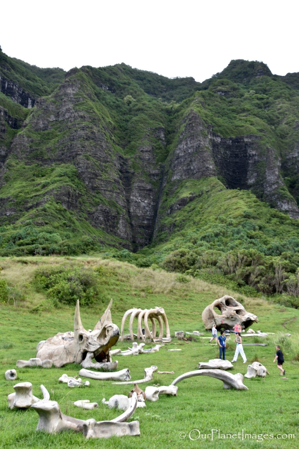 Kualoa Ranch, Nature Reserve, Oahu Hawaii