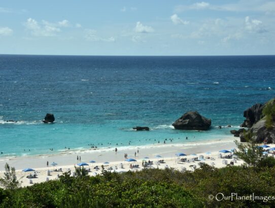 Horseshoe Bay Beach - Bermuda
