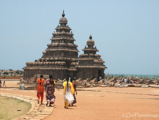 Shore Temple - India
