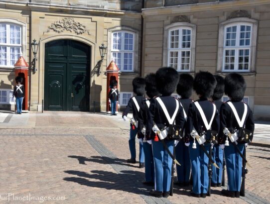 Changing of the Guard at Amalienborg Palace - Denmark