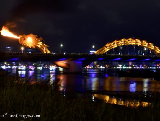 Dragon Bridge - Vietnam