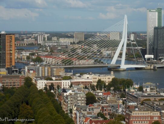 Erasmus Bridge - Netherlands