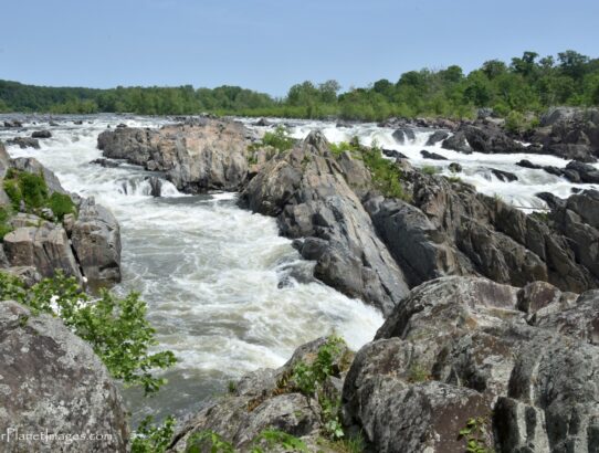 Great Falls - Virginia