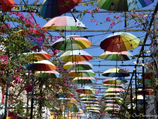 Puerto Plata Umbrella Street - Dominican Republic