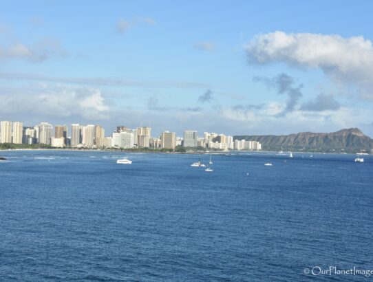 Honolulu Skyline - Hawaii